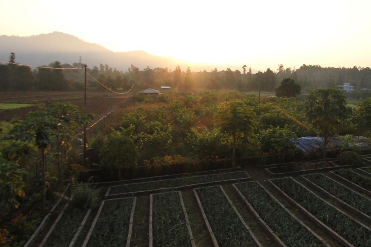 Forest Side Farm - Homestay At Kotabagh Near Nainital And Jim Corbett Экстерьер фото