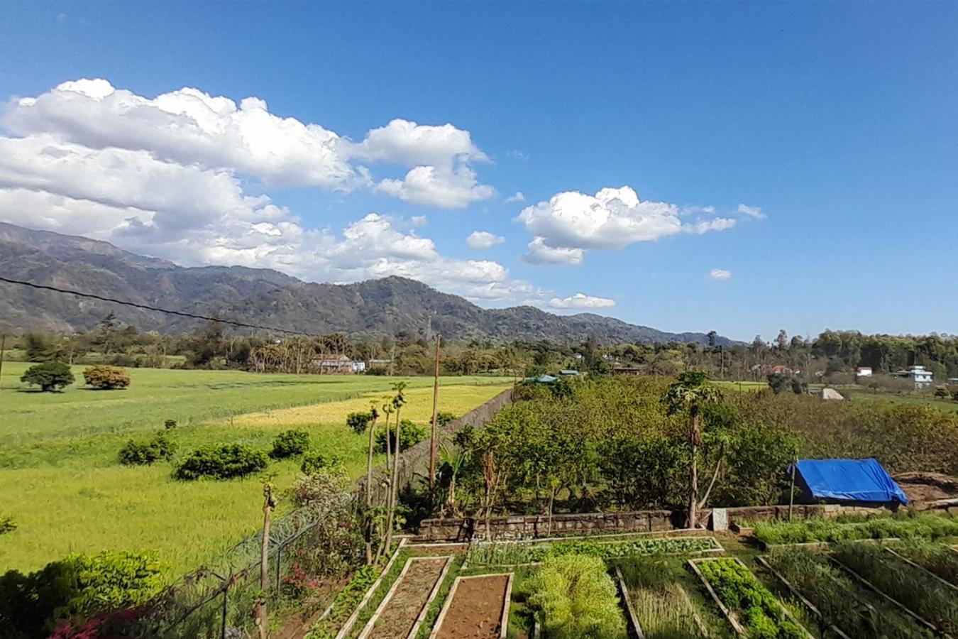 Forest Side Farm - Homestay At Kotabagh Near Nainital And Jim Corbett Экстерьер фото